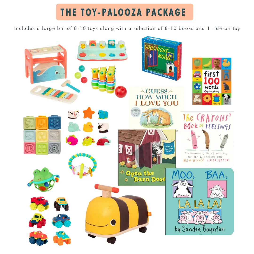 The Toy-palooza Bin