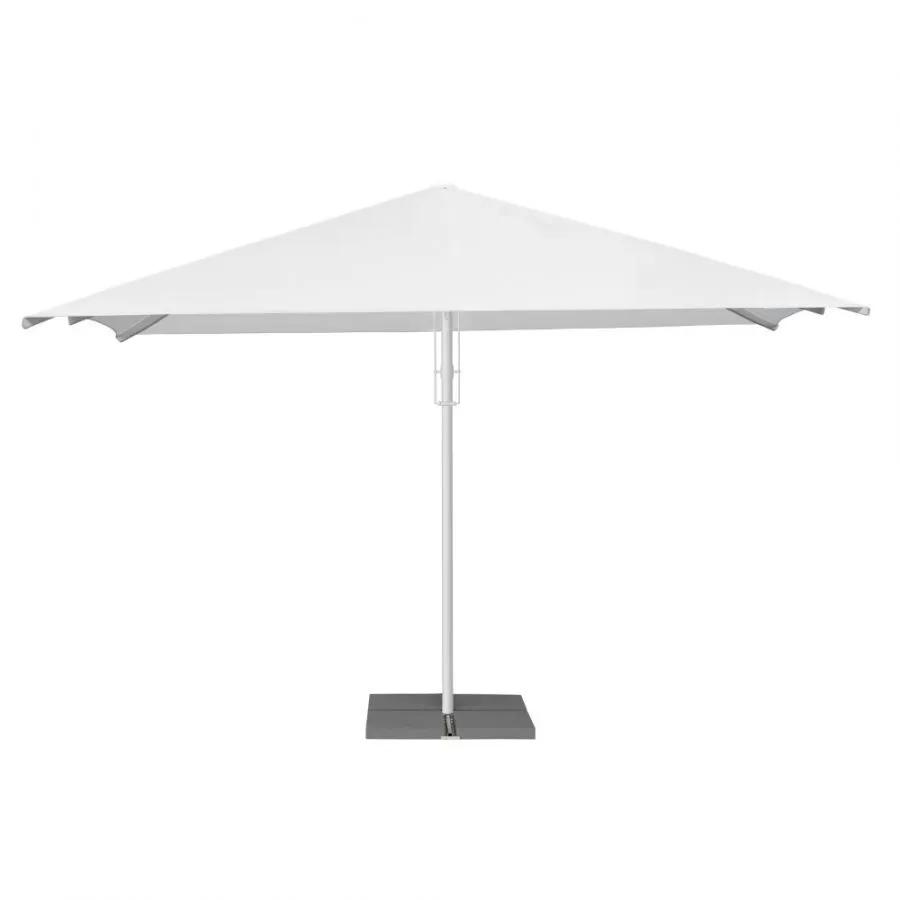 Parasol