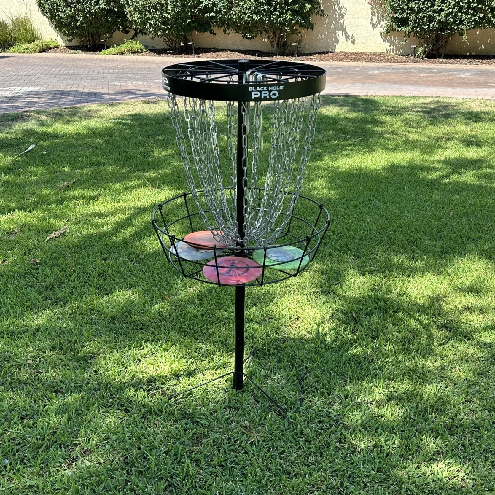 Frisbee Golf (1 basket)