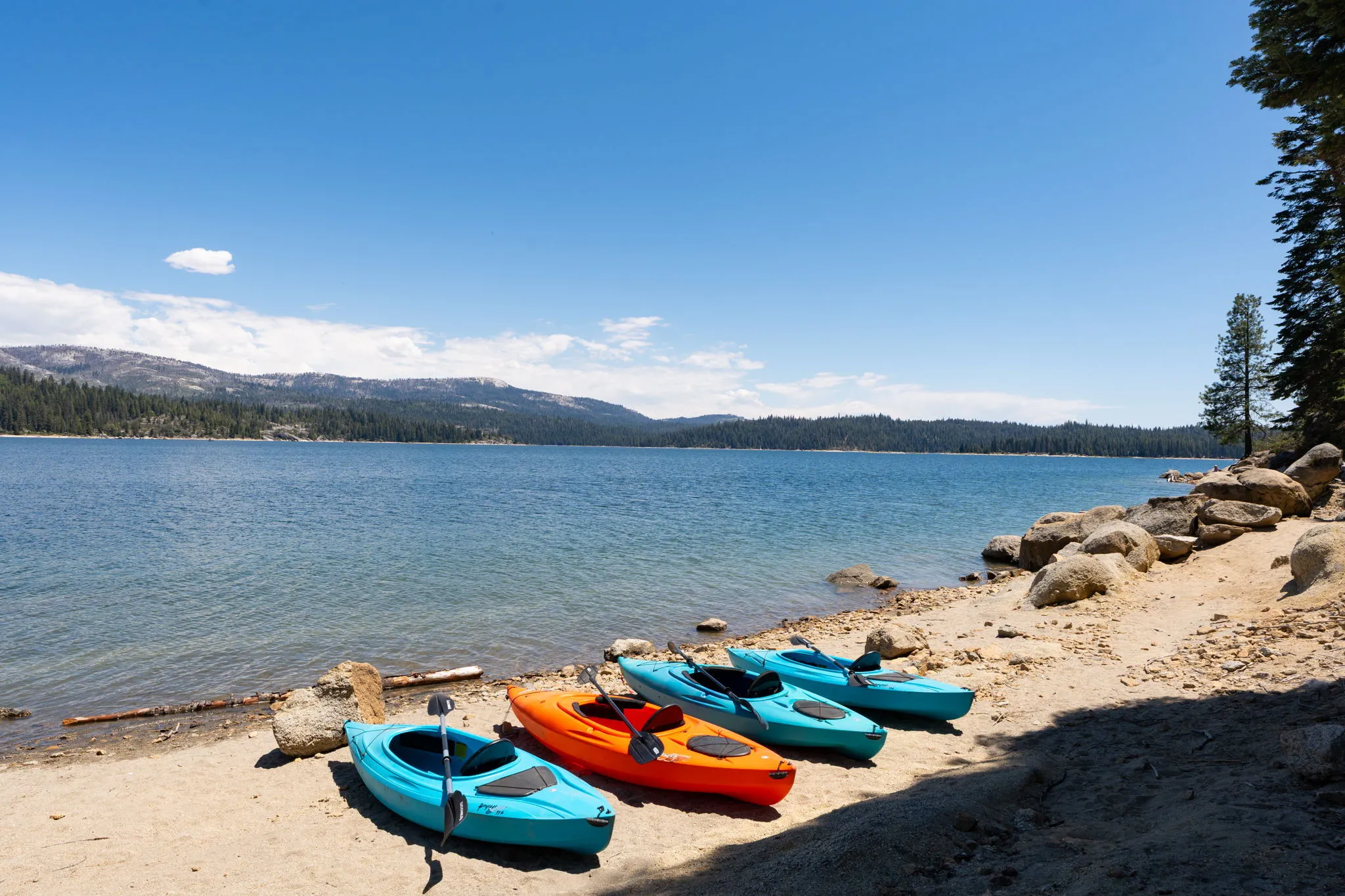 Kayak