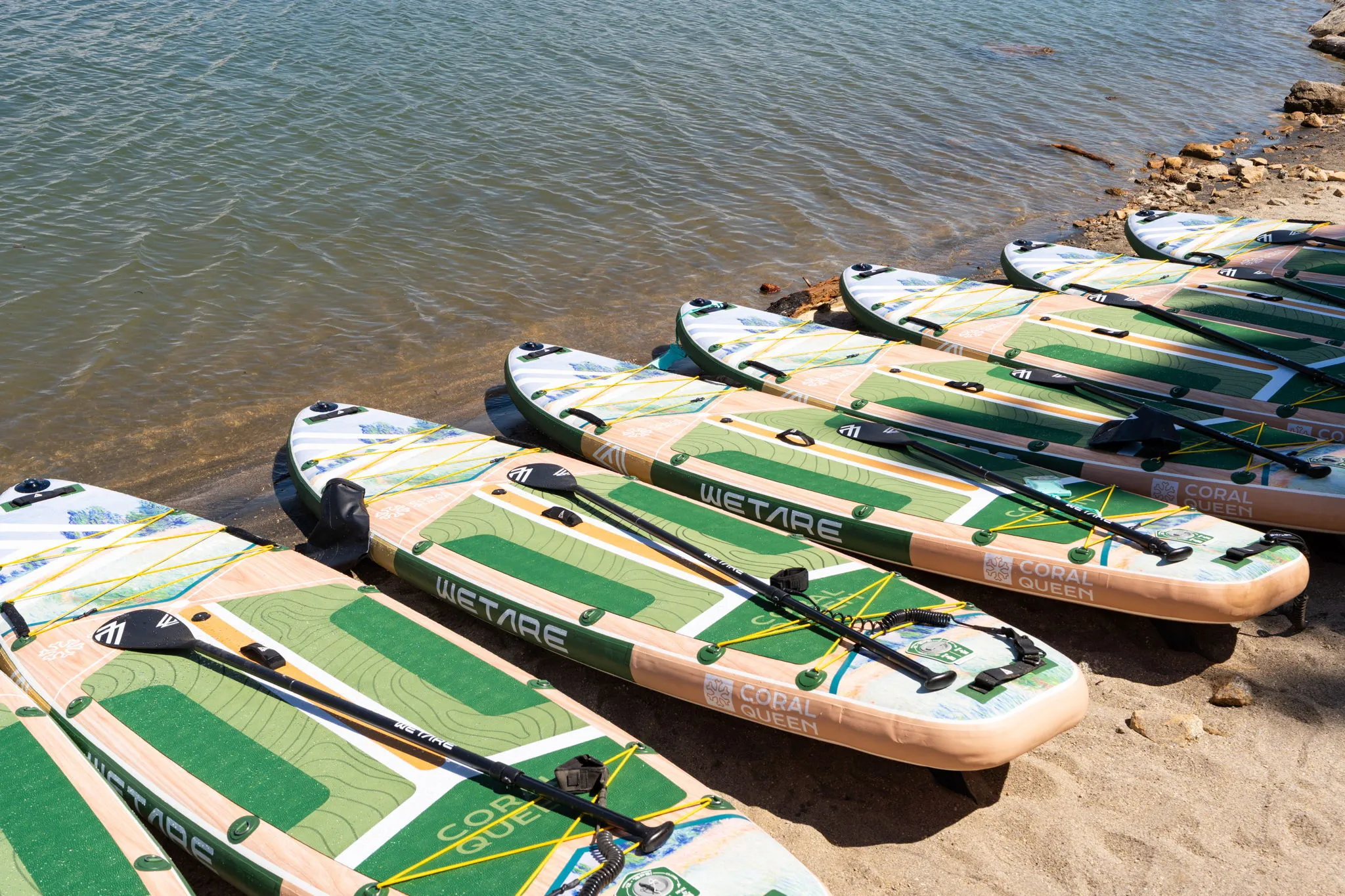Paddle Board