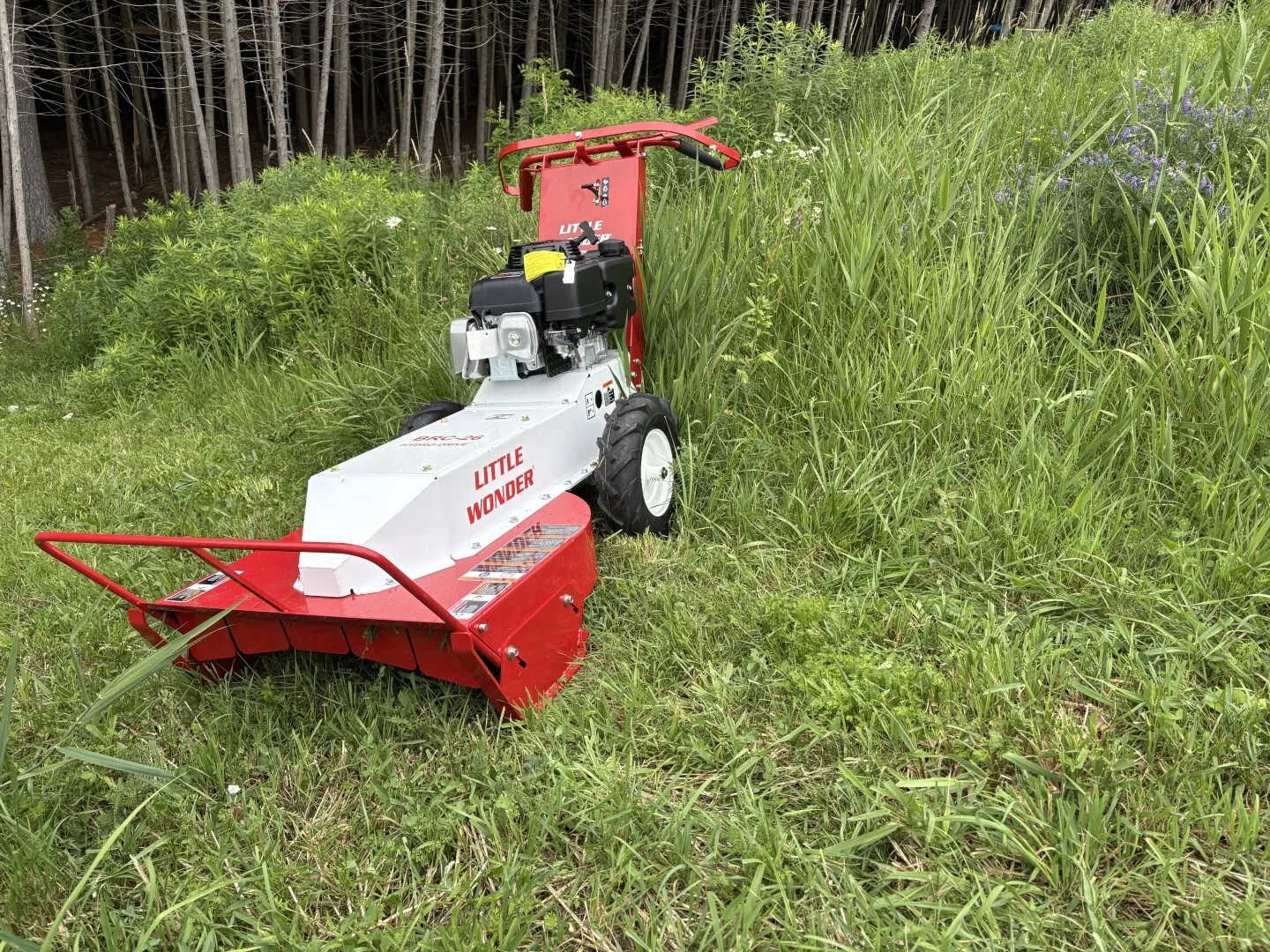 Brush Cutter little wonder