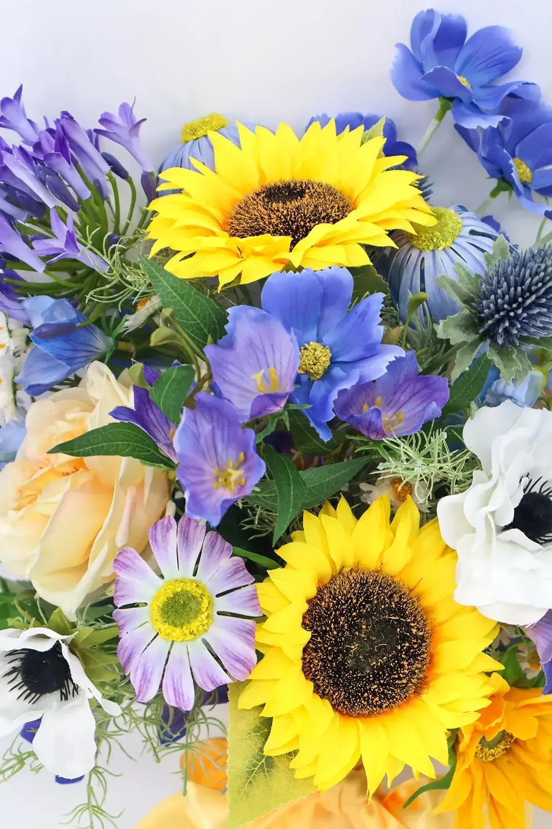 Sunflower Fields Collection