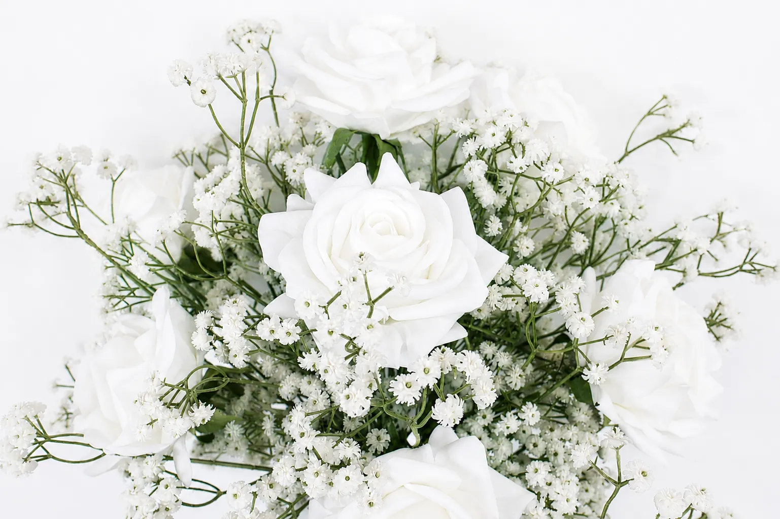 Baby’s Breath Collection