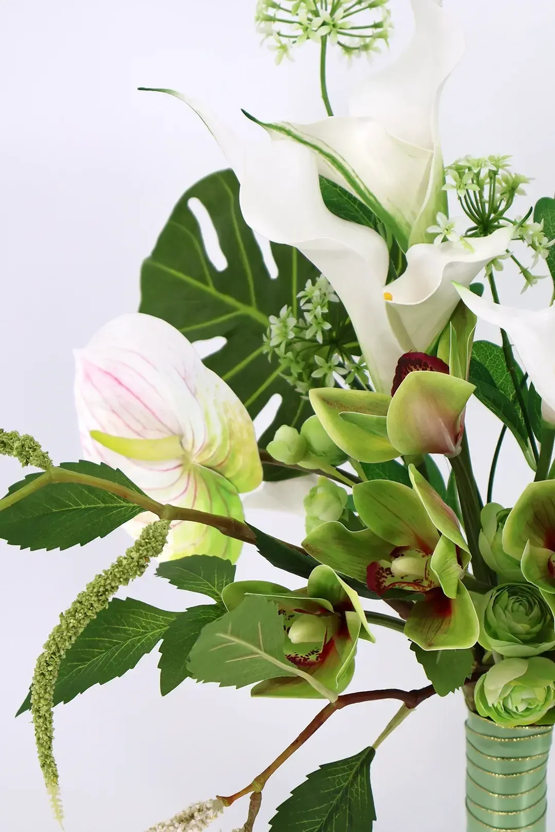 Modern Muse Collection