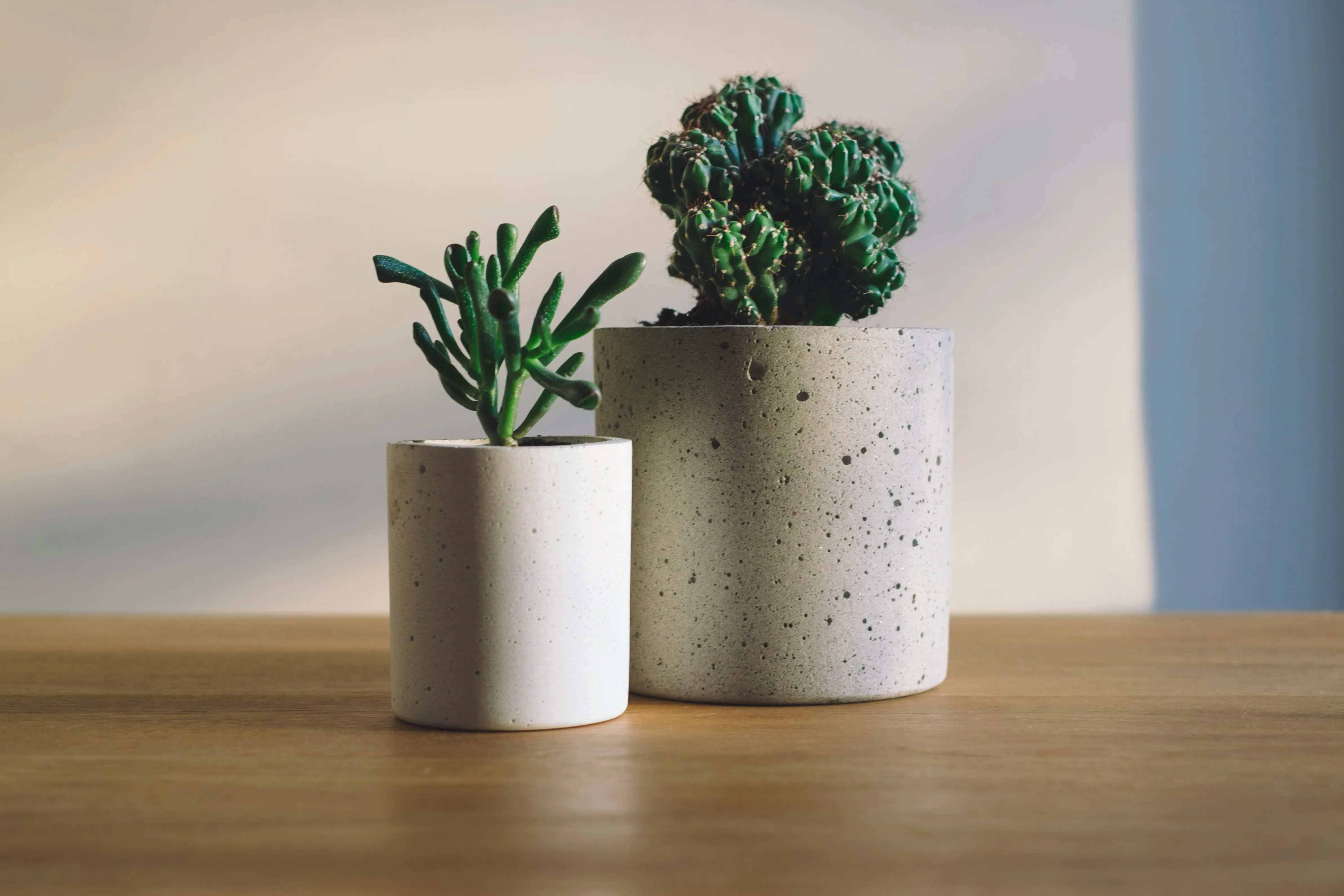 Planters