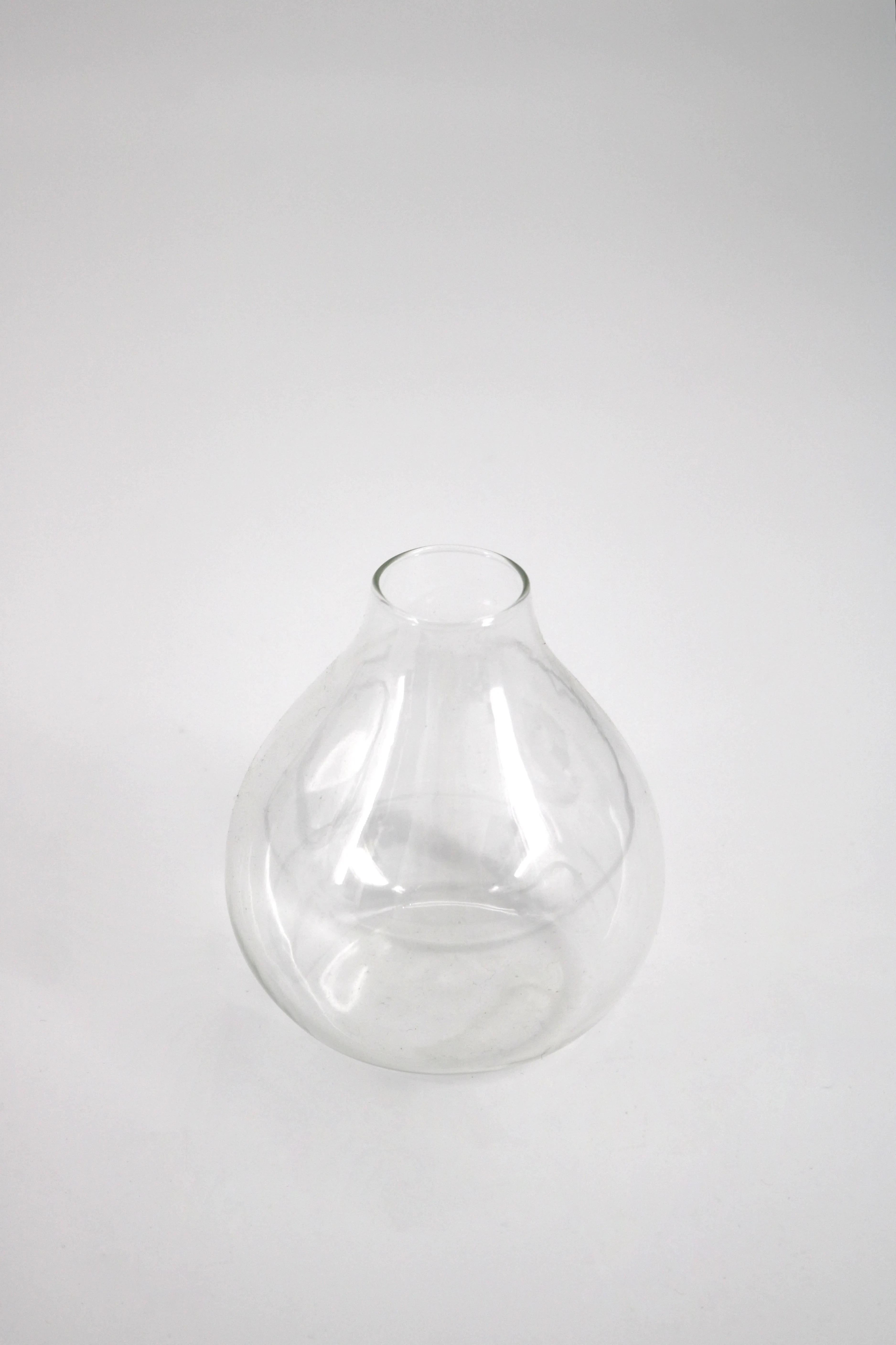 Bulb Clear Glass Vase