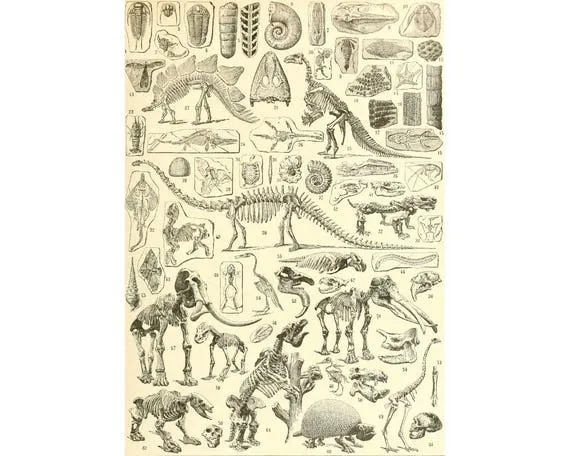 Antique Dinosaurs