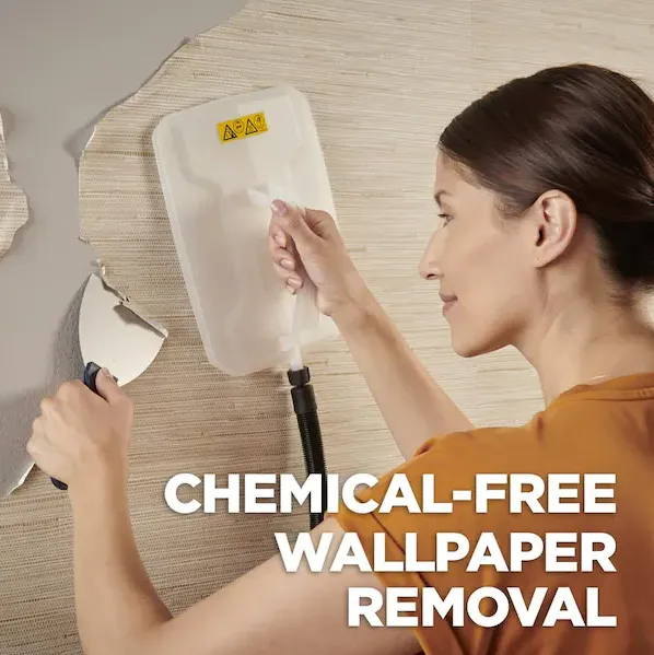 Wallpaper Removal