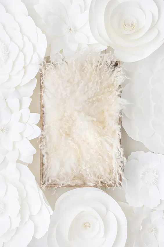 Newborn Backdrops (Posing Table)