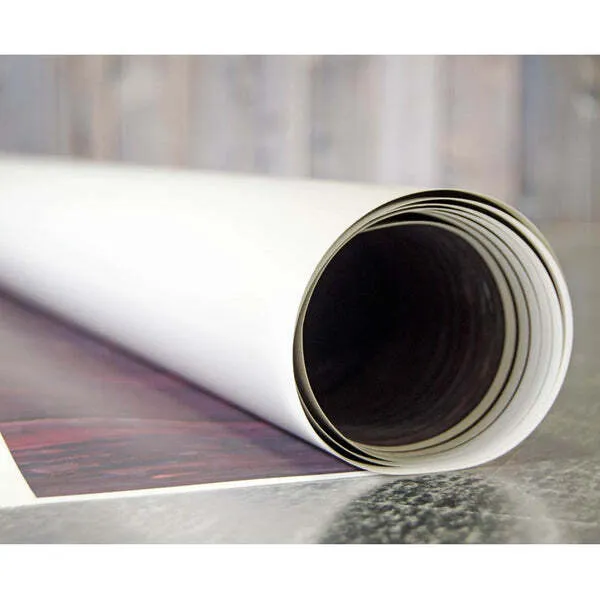 Poly Paper Backdrops