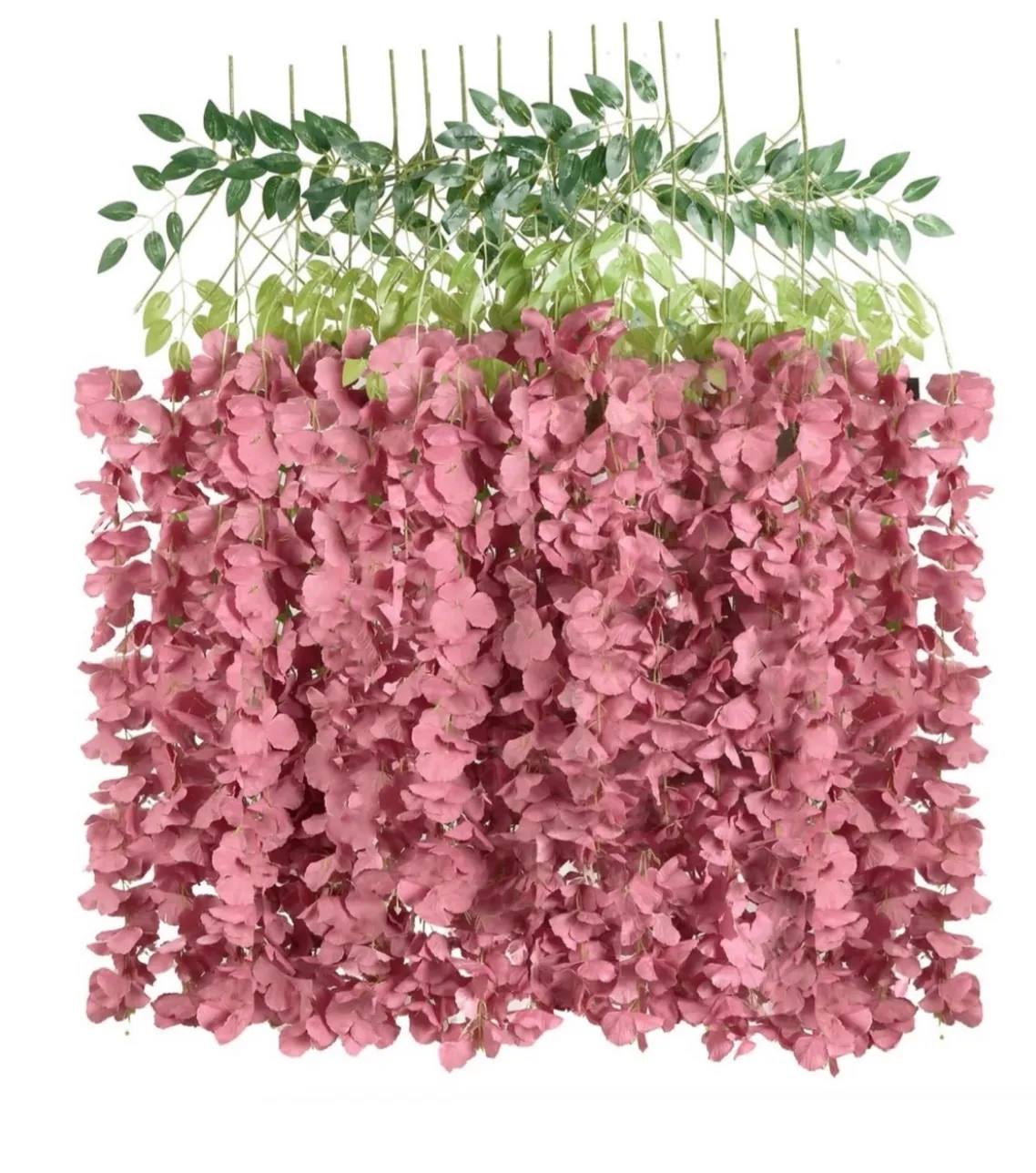 Dusty Pink Wisteria
