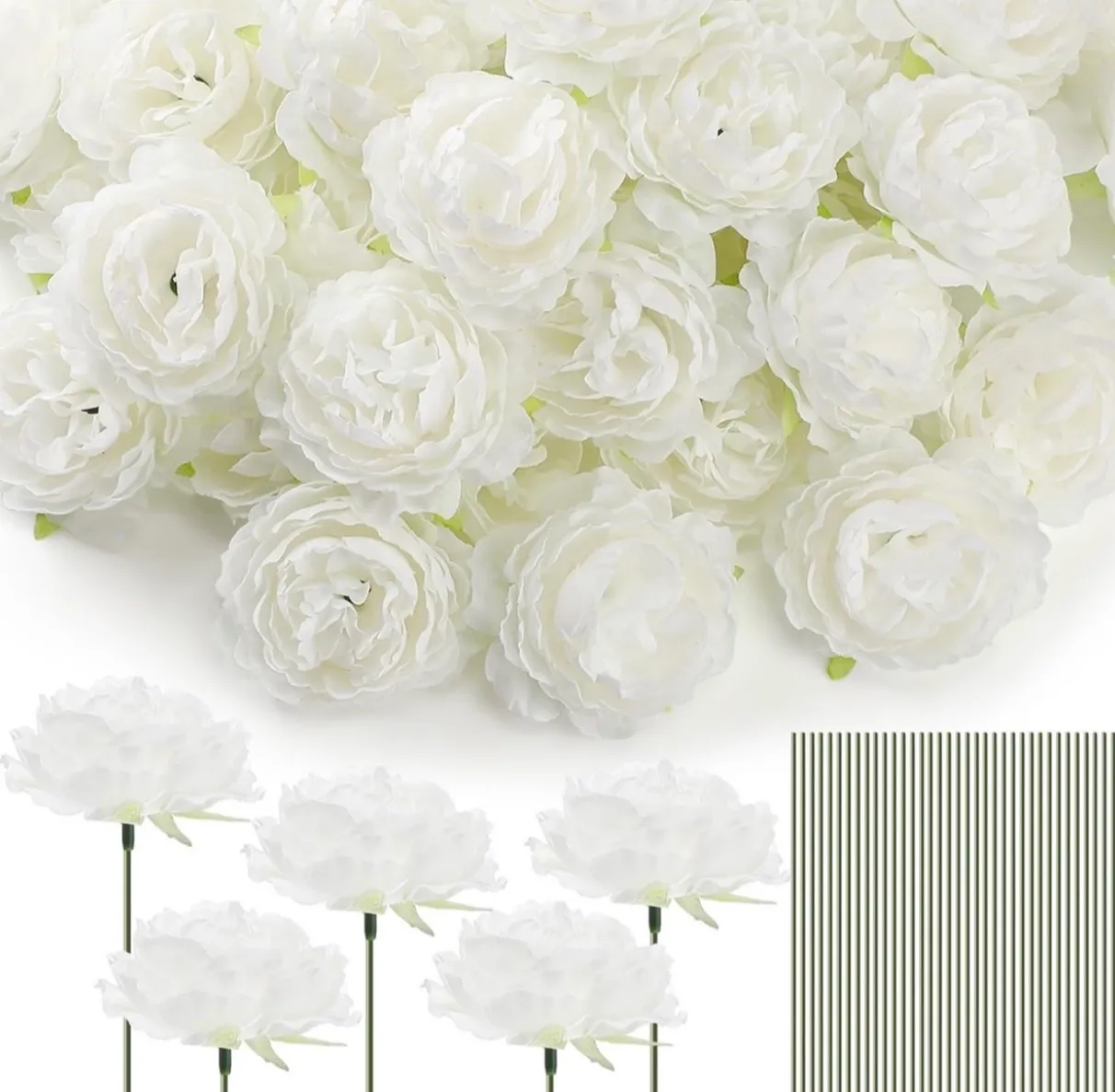 White Roses | Group B 