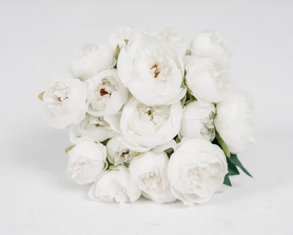 White Peony | Group A