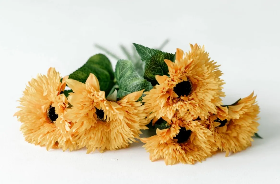 Yellow Sunflowers