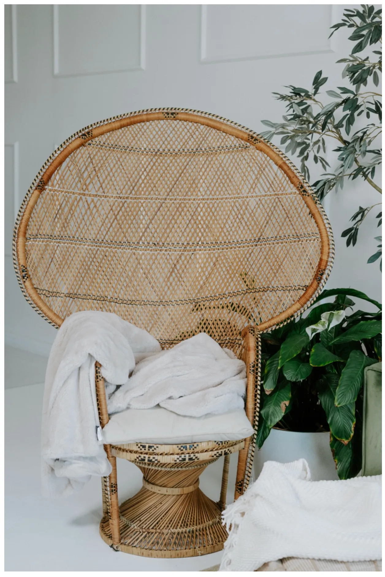 Peacock Chair
