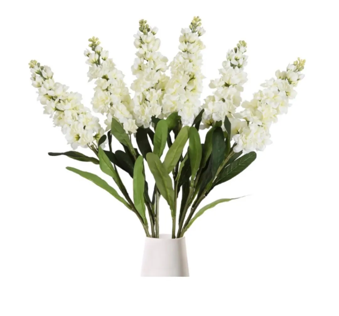 White Snapdragons