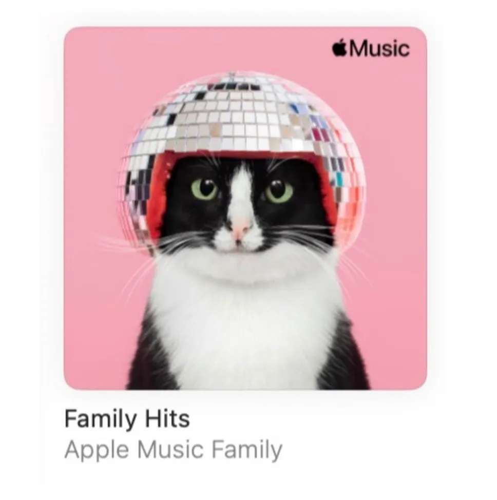 Family Hits