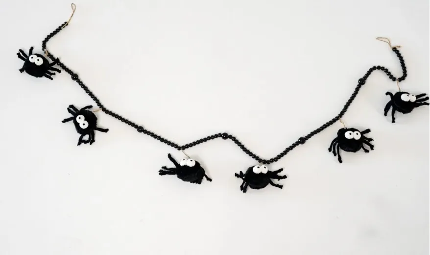 Spider Banner