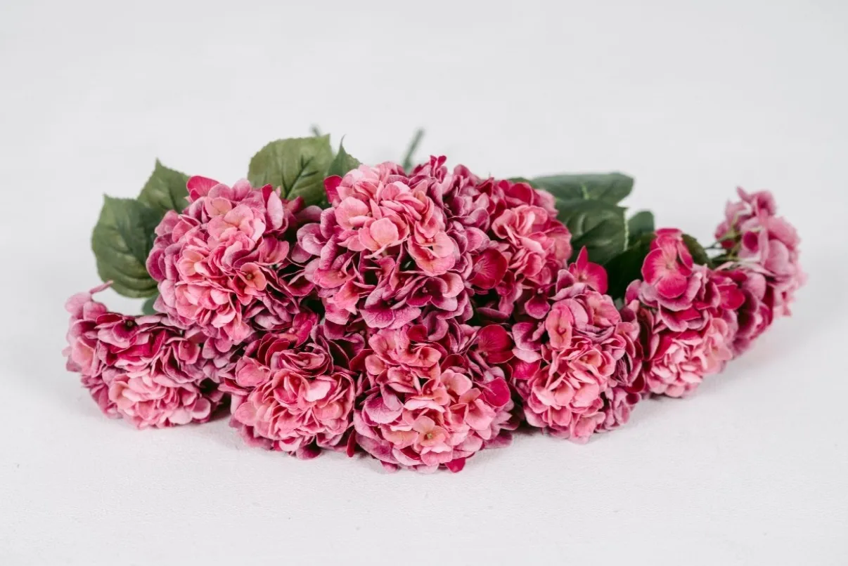 Pink Hydrangeas