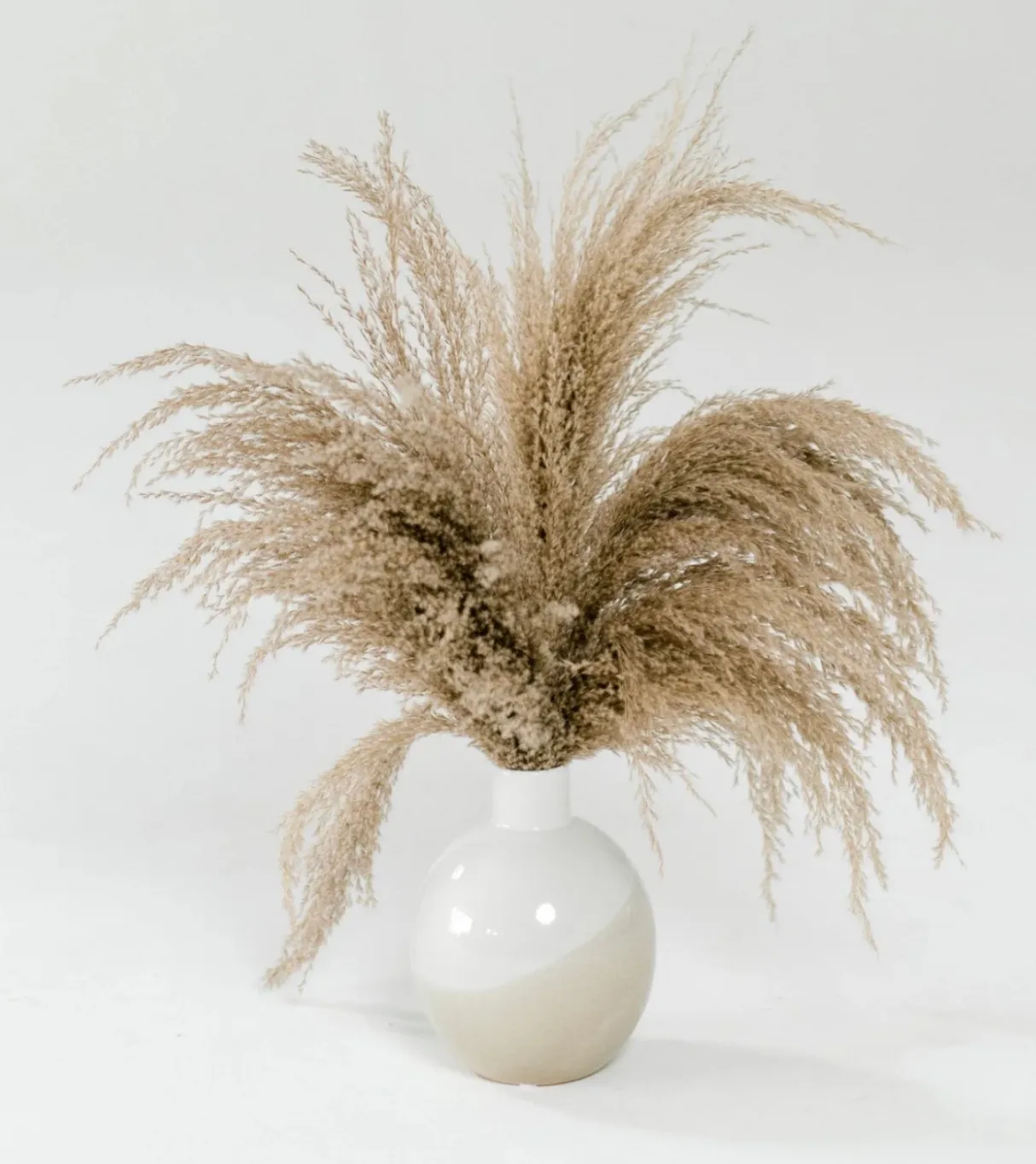 White & Tan Boho Plant
