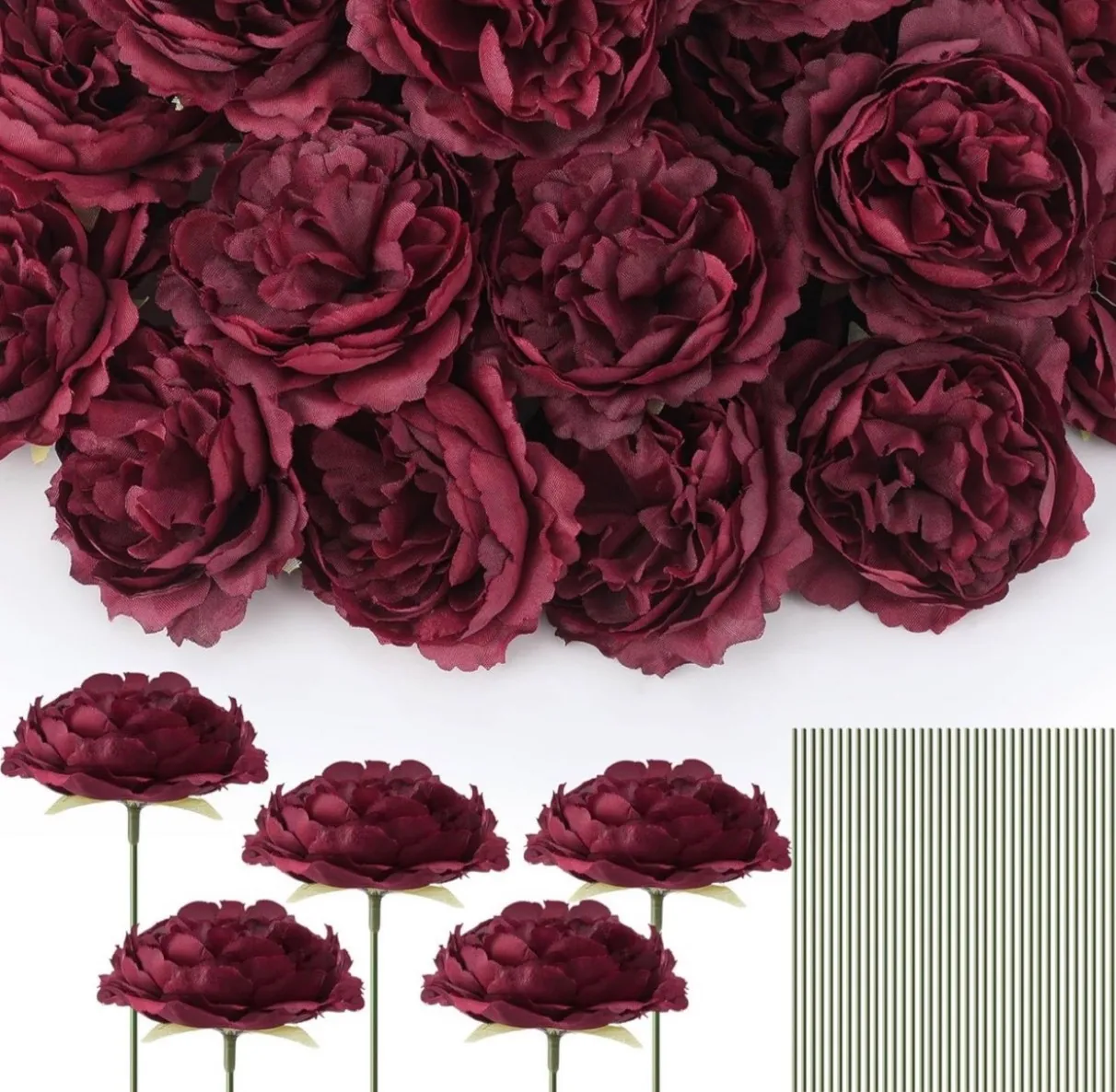 Burgundy Roses | Group A 