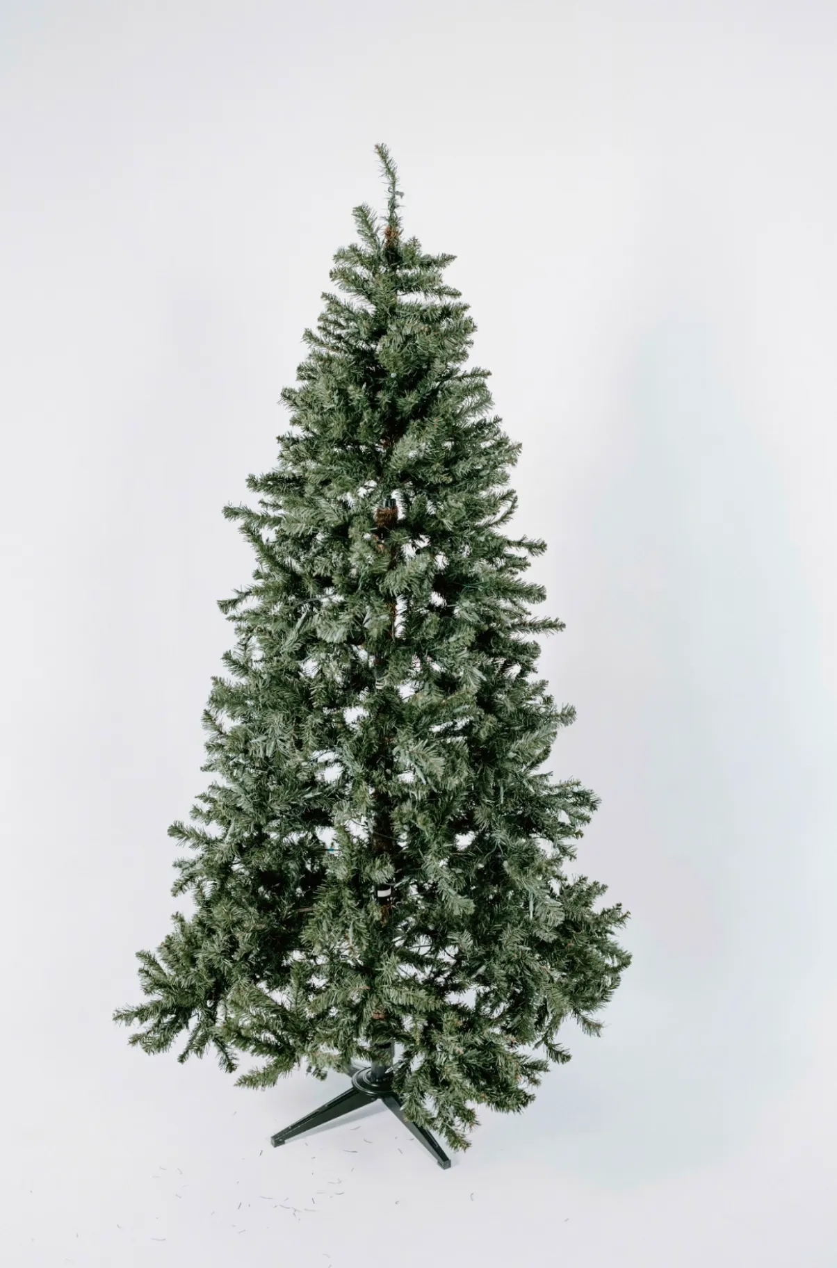 Christmas Tree (M)