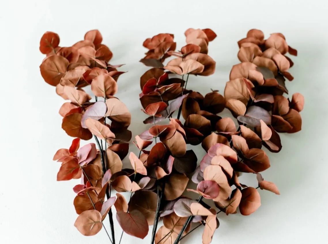 Brown with a Touch of Purple Stems Leafy Stems