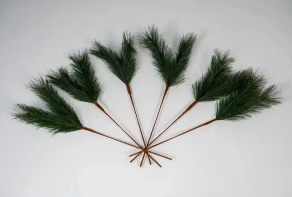 Pine Stems