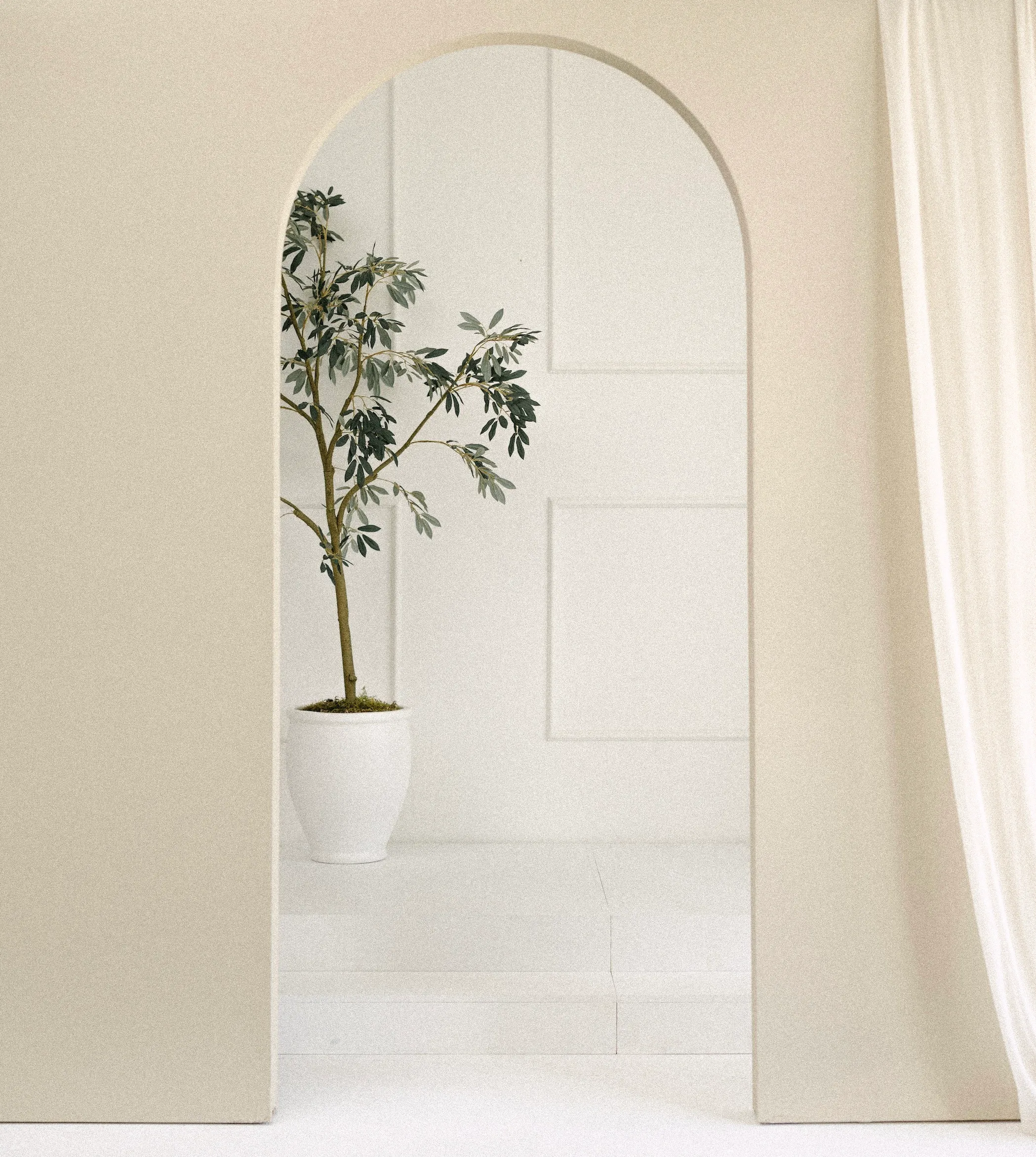 The Serene Entry + Ivy Corner | July 6th - August 30th