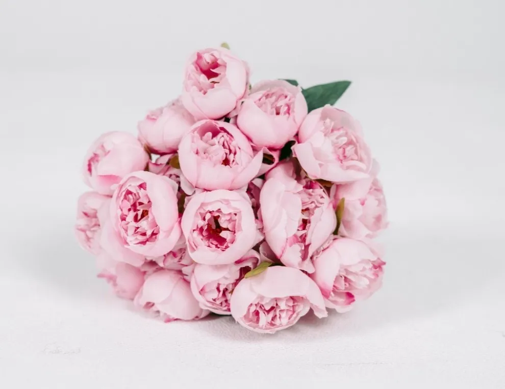 Pink Peony | Group A