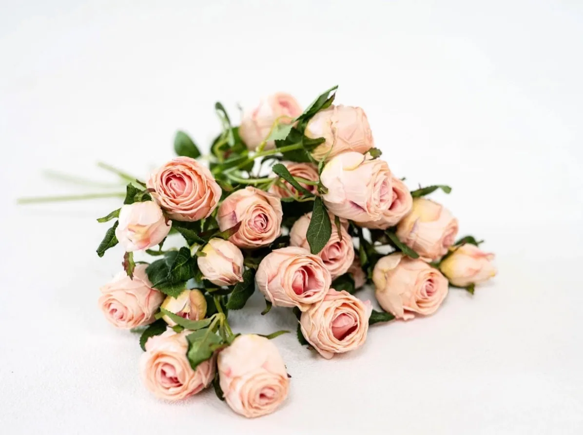 Pink Roses | Group A 