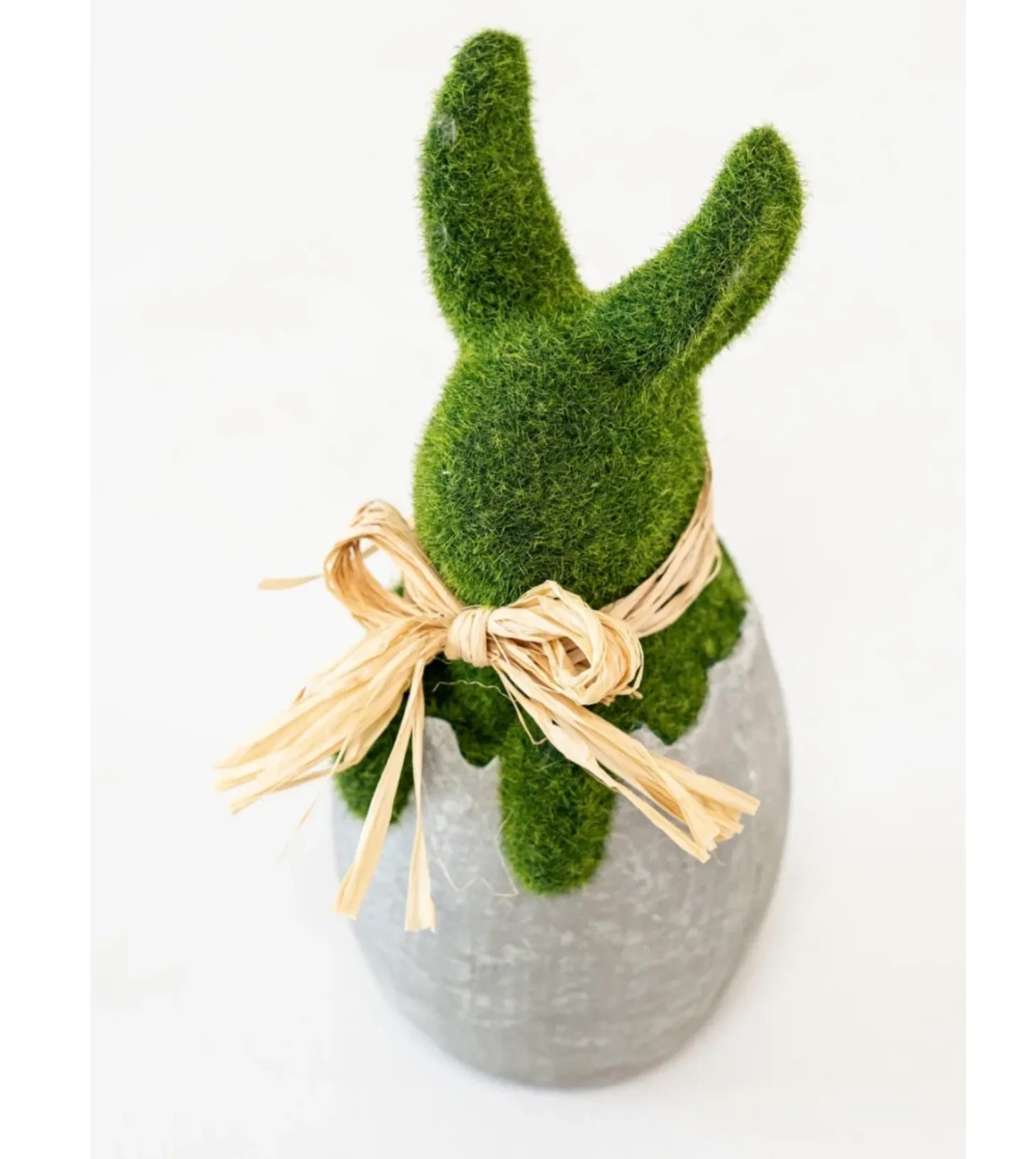 Green Bunny Out of Egg