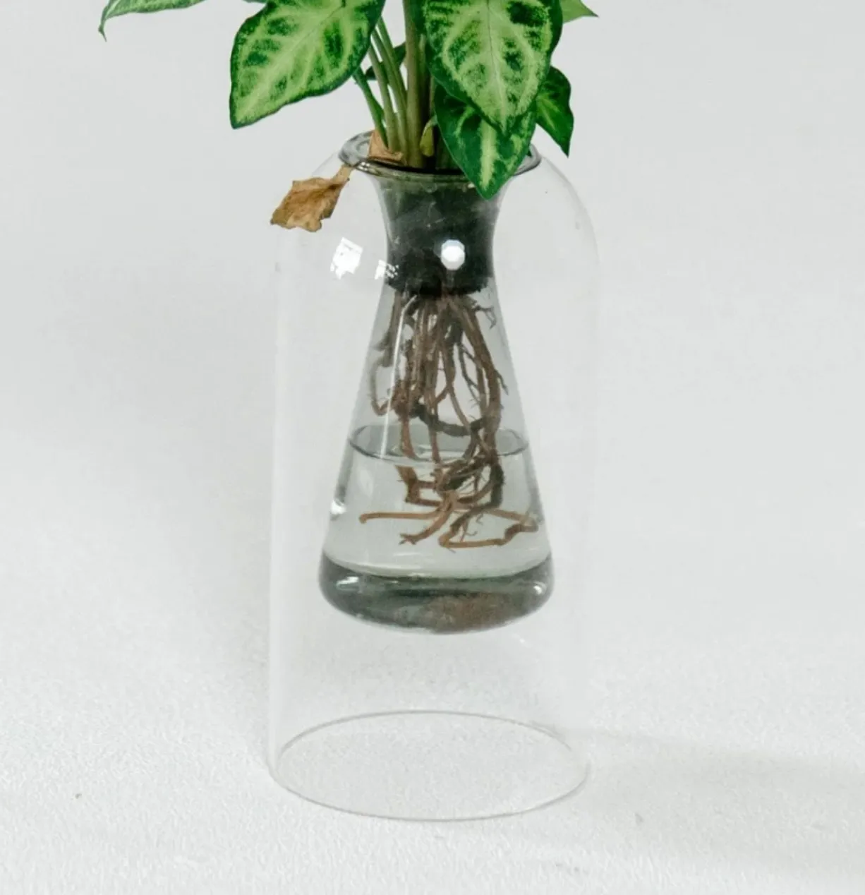 Floating Vase