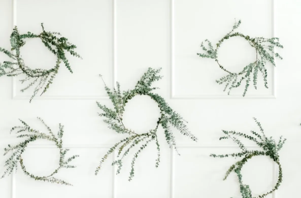 Dried Greenery Circles (Qty:6)