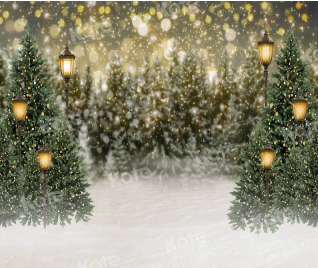 Christmas Twinkle (10x8)