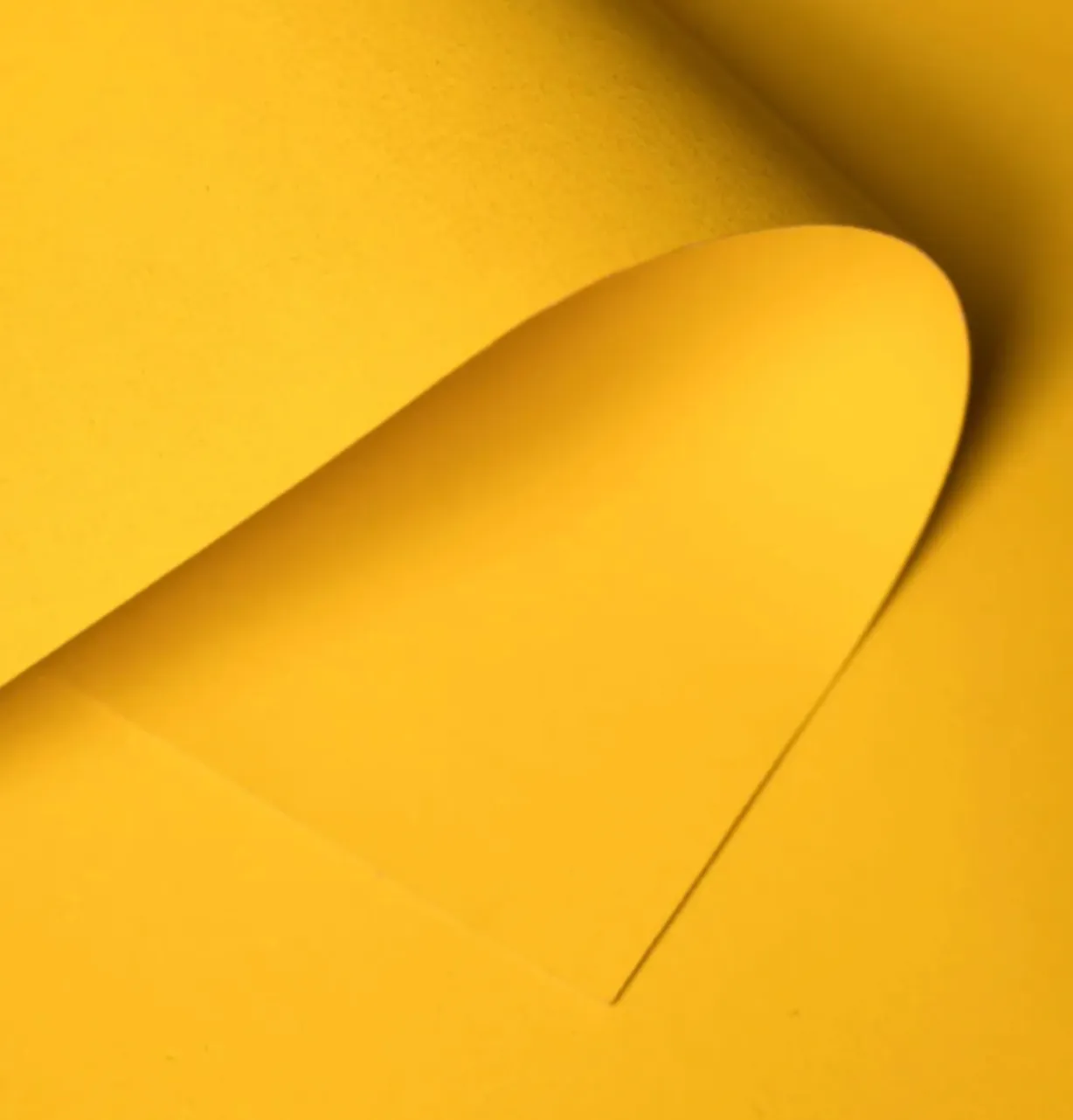 Forsythia Yellow (Large Scrap)