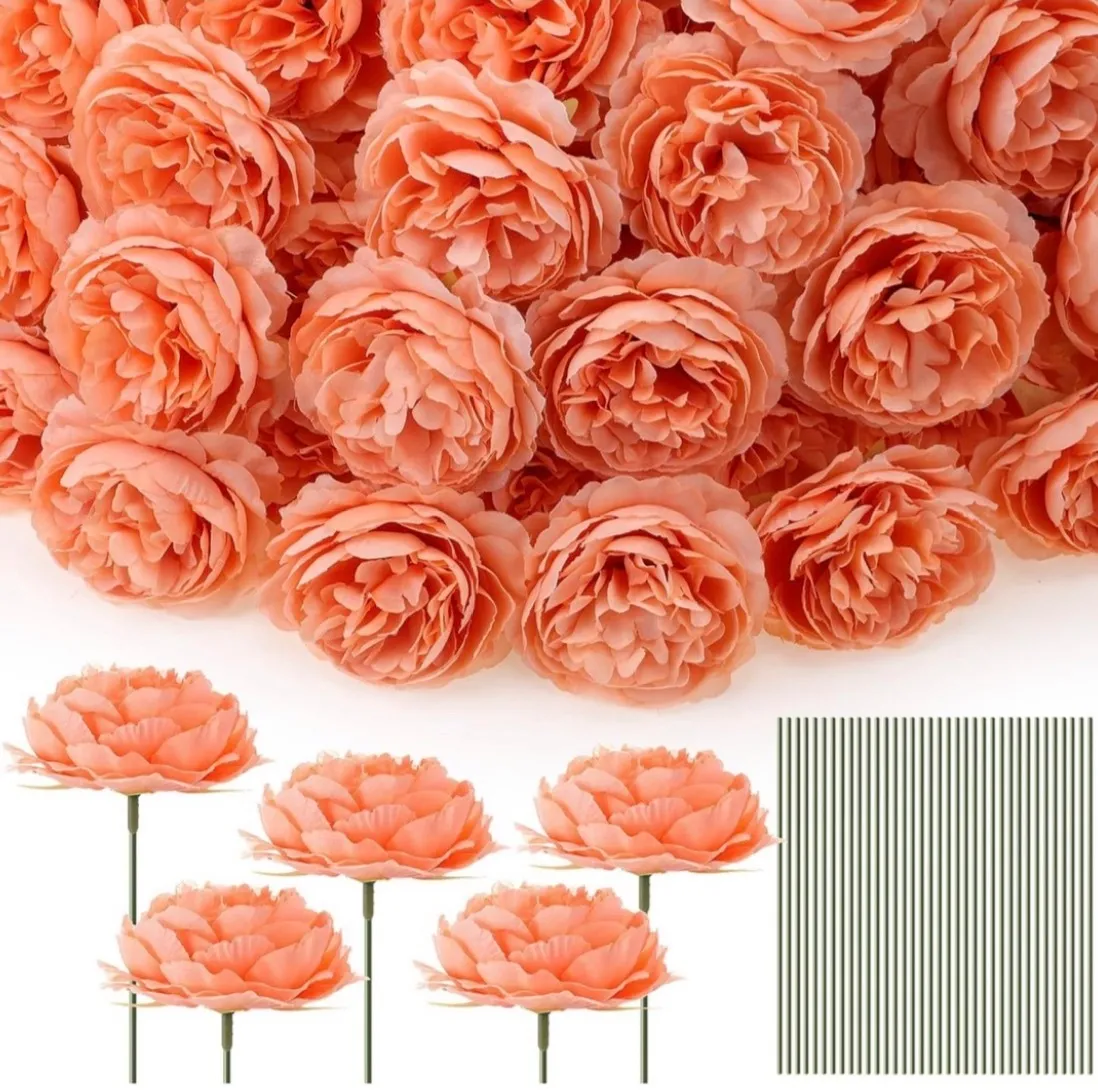 Peach Rose | Group C