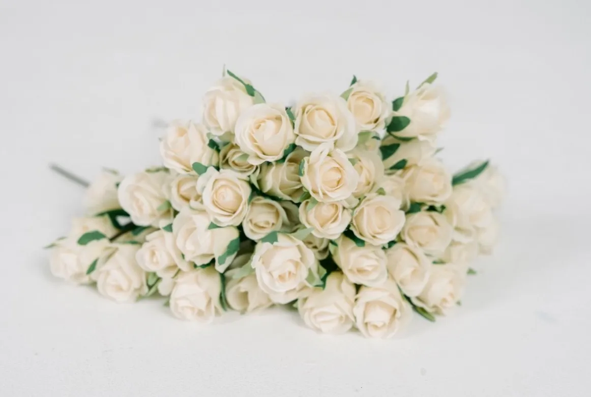 White Roses | Group C