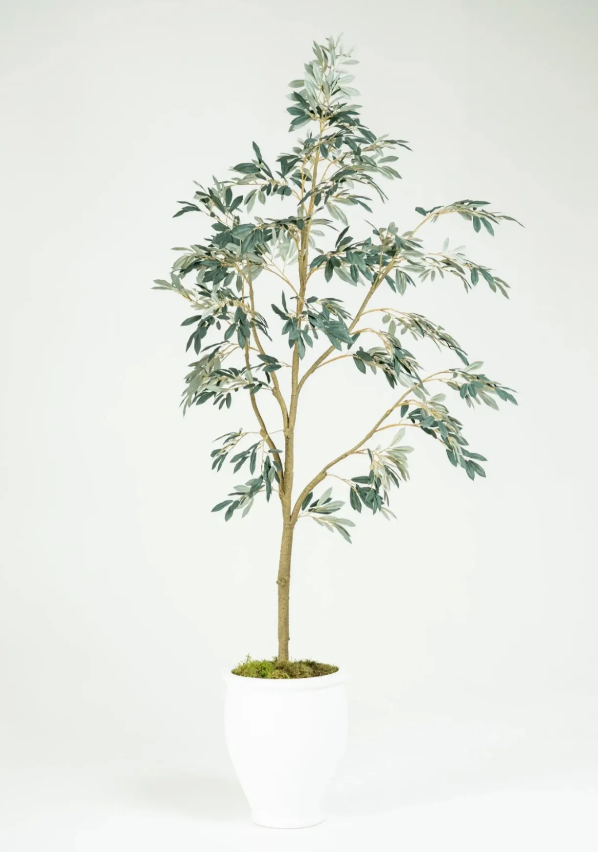 Tree in White Pot - Large