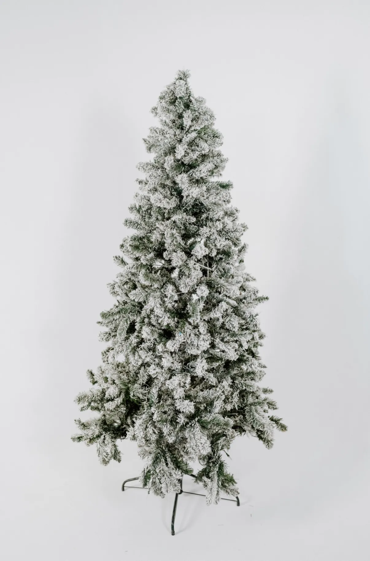 Christmas Tree (F)