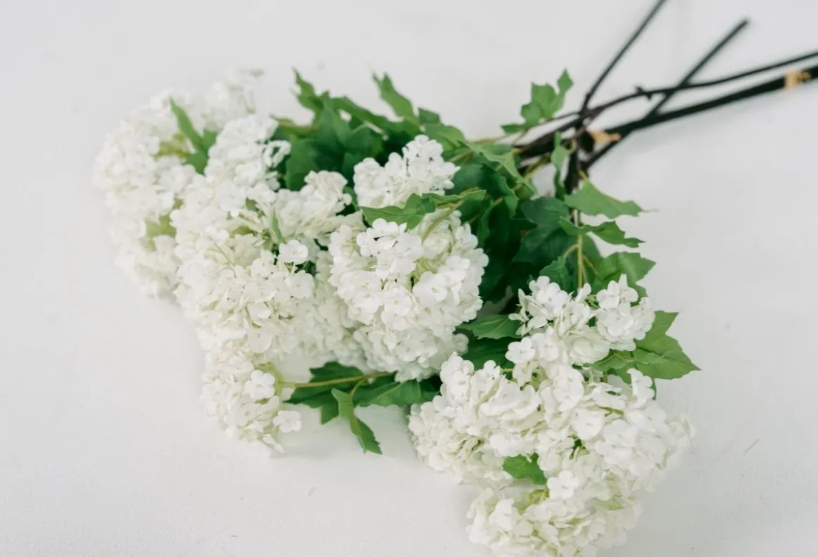European Cranberry Bush Stems