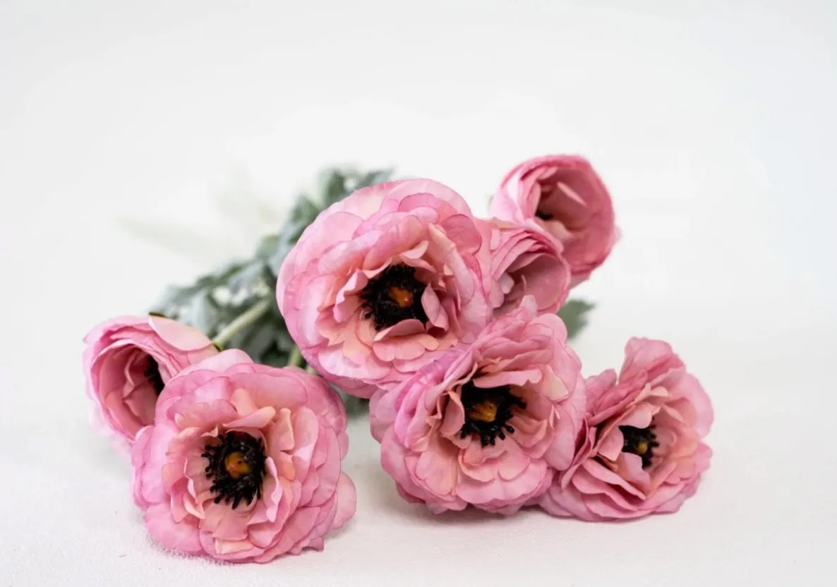 Pink Floral Stems