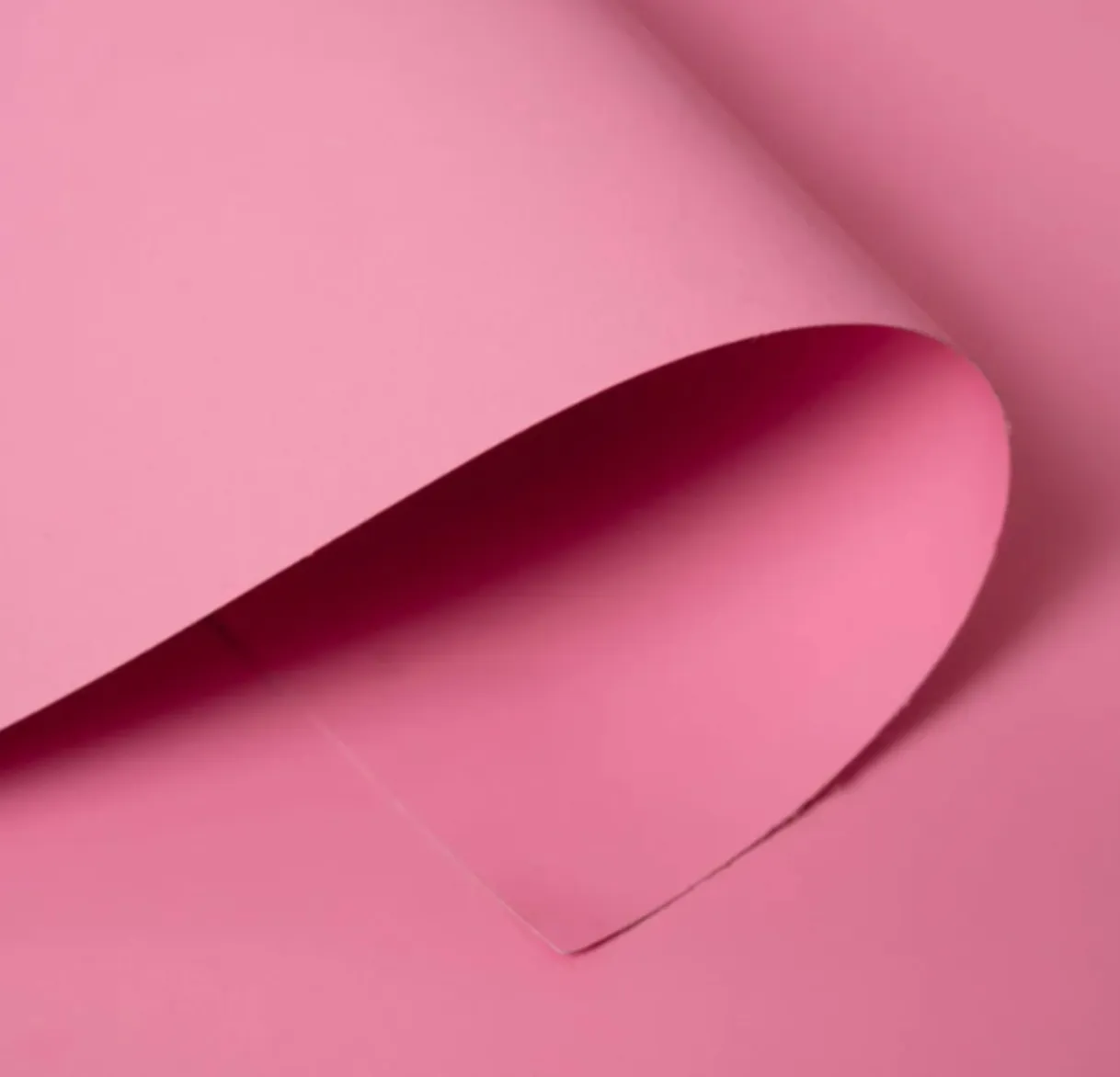 Carnation Pink Seamless Paper