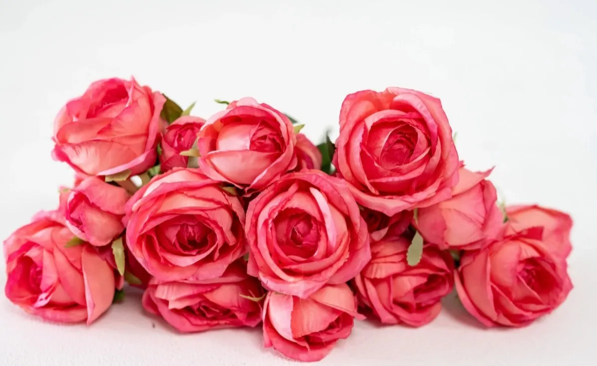 Pink Roses | Group B
