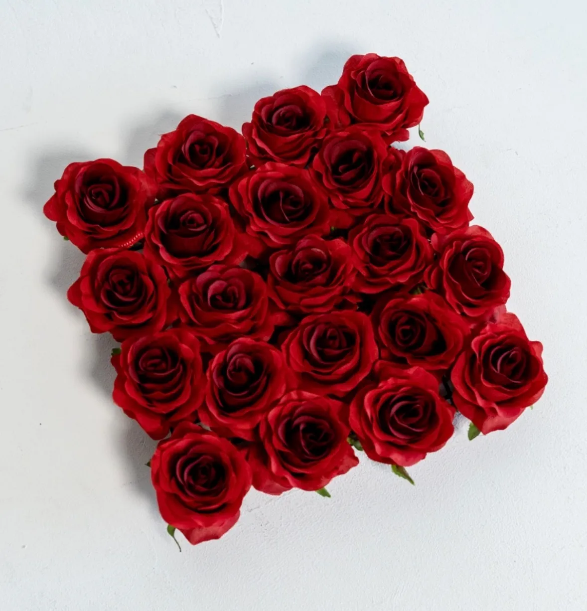 Red Roses | Group B