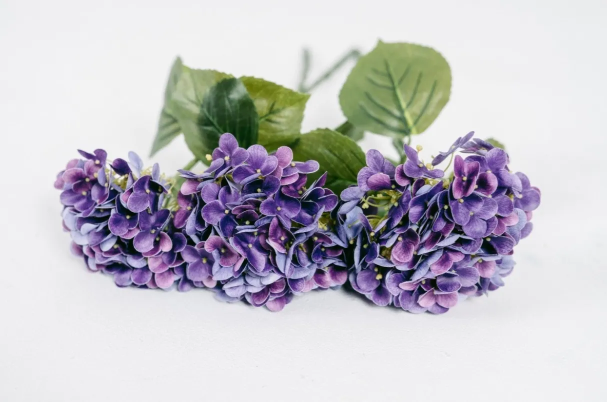 Purple Hydrangeas | Group D