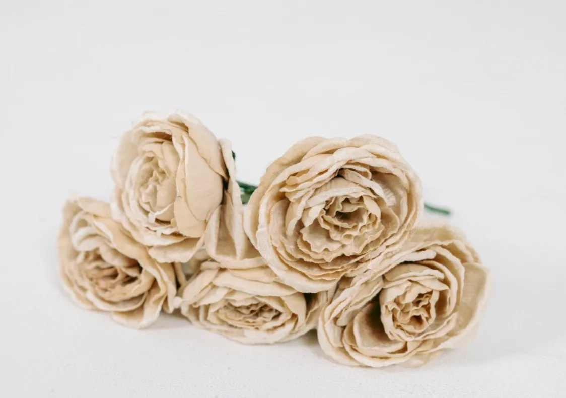 Nude Roses | Group B