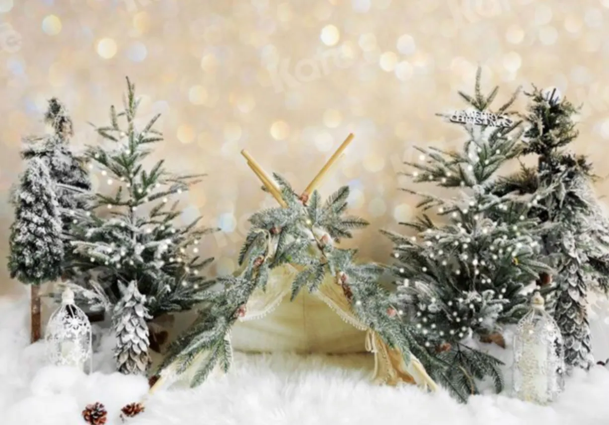 Christmas Tent (7x5)