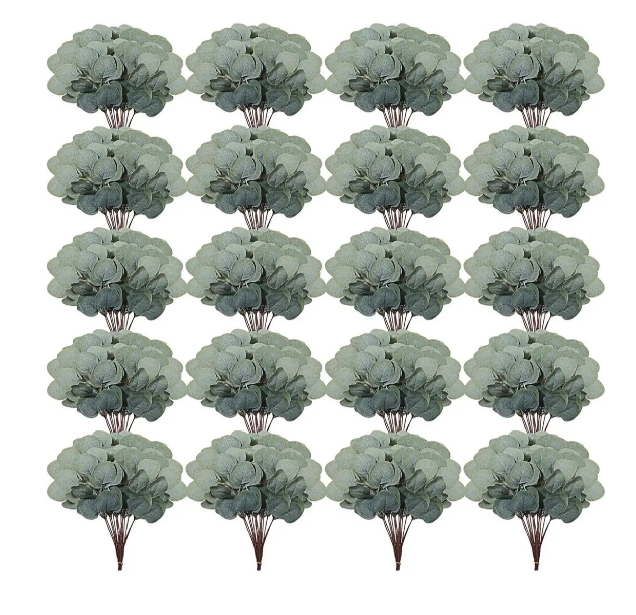 Short Eucalyptus Stems